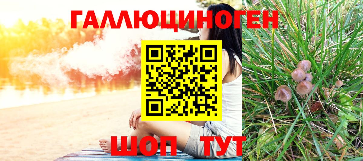 Новозыбков  Псилоцибиновые грибы мухоморы  где купить наркоту  Галлюциногенные грибы Magic Shrooms  Вход с VPN 