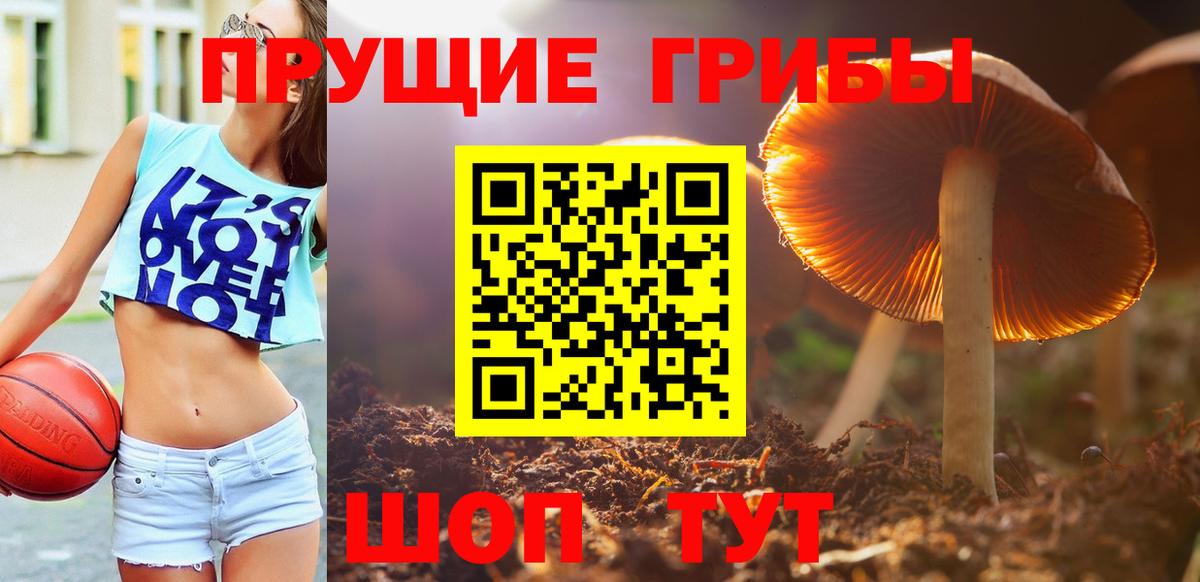 Альфа ПВП СОЛЬ кристаллы  Метамфетамин  Марихуана  Кокаин  ГАШИШ  Вход с VPN  Меф МЯУ МЯУ кристаллы  НБОМе  Новозыбков  Гашиш 